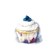 Watercolor jummy cupcake on the white background