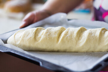 Formed yeast dough for long loaf bread with scores before baking on oven-tray