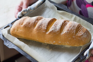 Close up view of Homemade baked long loaf bread with cuts just from the oven on oven-tray in female hands