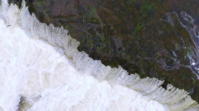 Aerial top down view of Ventas Rumba waterfall, fish jumping, day