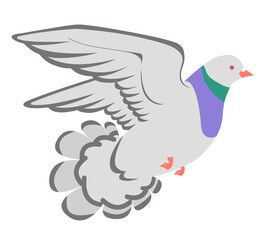 飛んでいる鳩 ハトPigeon グレー
