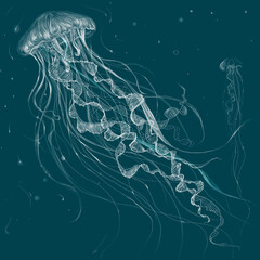 Tender white transparent jellyfish in ocean depth. Raster stock illustration in realism on blue background.