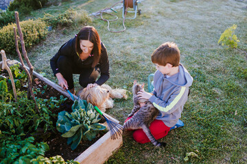 Mother, son and their pets in vegetable garden