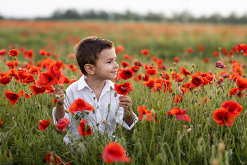 boy sits in a field of poppies