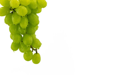 On a white background hangs a branch with grapes pitted