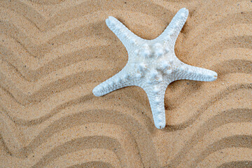 top view starfish on line wave sand texture background