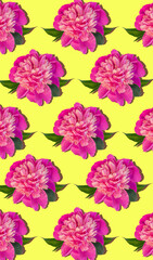 Pink peony flowers regular vertical pattern on yellow background. Beautiful blooming head for mobile phone desktop website floral design. Paeonia lactiflora plant green leaves. Colorful peonies petals