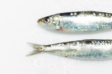 Sardine is a healthy fish