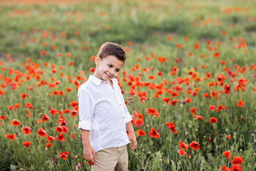 Boy stands in a field of poppies