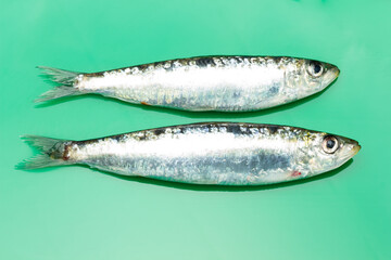 Sardine is a healthy fish