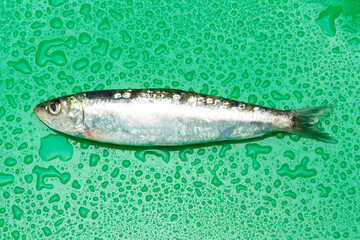 Sardine is a healthy fish