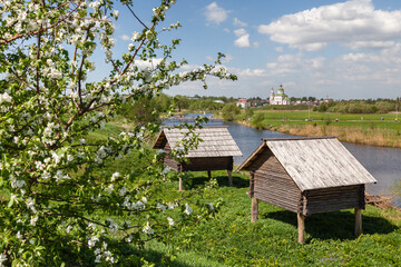 Plakat Spring horizontal cityscape of Suzdal with St Elijah Church, wooden bridge above the Kamenka River, old storehouses on stilts and flowering apple tree, the Golden Ring of Russia