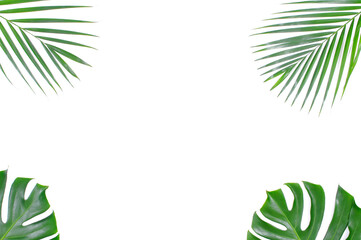 Naklejka na ściany i meble flatlay of tropical palm and monstera leaves