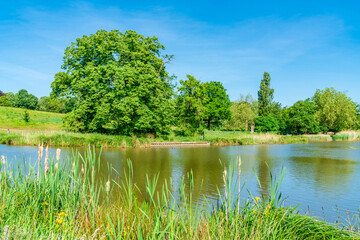 Obraz na płótnie Canvas A pond in Hampstead Heath park in north-west London. UK
