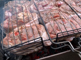 Grilled turkey steak on charcoal. Picnic in nature, poultry cooked at the stake. Juicy marinated steaks on a grid.