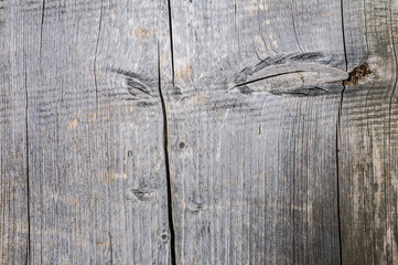 wood texture