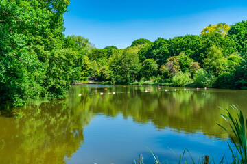 A bathing pond in Hampstead Heath park in north-west London. UK