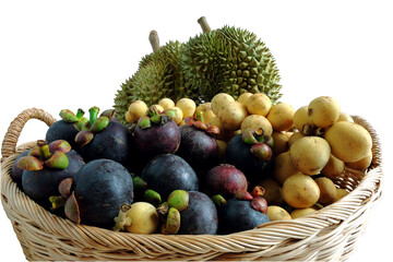 Mangosteen, Durian and Wollongong in basket
