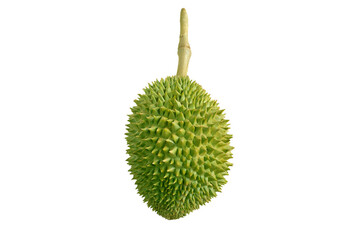 King of fruit (Durian) halved with clipping path