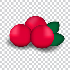 Berries with green leaves, isolated, vector illustration.