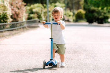 Boy learn to ride scooter in a park on sunny summer day. Preschooler boy riding a roller. Kids play outdoors with scooters.
