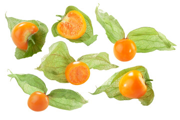 Cape gooseberry or Physalis, an edible fruit of Physalis peruviana, isolated w clipping paths