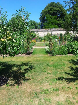 Oxford Botanic Garden