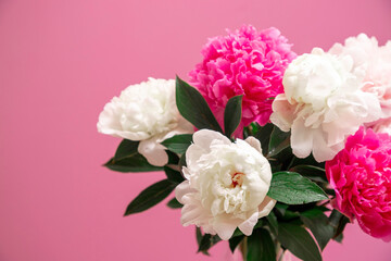 Obraz na płótnie Canvas white and pink peonies in a vase against a pink background