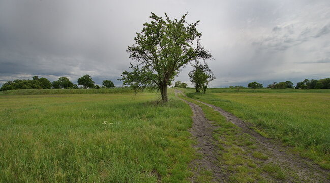 Ehemaliges Rieselfeld bei Sputendorf, Gemeinde Stahnsdorf