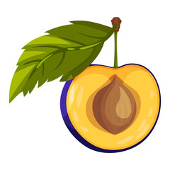 Halved Plum Berry with Sweet Flesh and Stone Vector Illustration