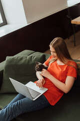 beautiful freelancer touching cute cat and looking at laptop in living room