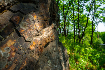 The edge of the foot of the mountain in the forest thicket