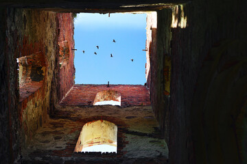 Ancient brick and stone ruins of a gothic chirch with cormorants flock above
