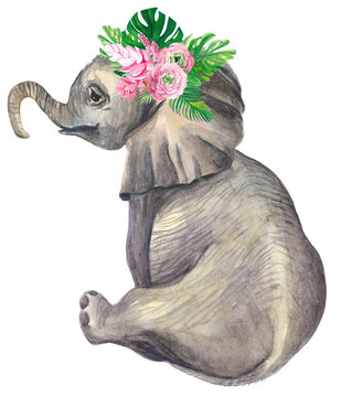 Free Free 87 Watercolor Elephant Svg SVG PNG EPS DXF File
