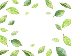 Watercolor vector design of green leaves isolated on a white background.