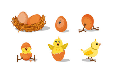 Cute chick hatching set. Chicken nest with egg, broken egg shell, baby bird. Vector illustration for farming, Easter, poultry concepts