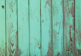 oil green wood plank for background