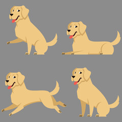 Labrador in different poses. Beautiful dog in cartoon style.