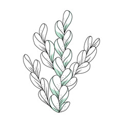 Spring branch with leaves, so free hand drawing graphics. For the design of business cards, drawing on fabric, print shops.