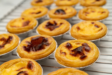 Group of Hongkong custard tart,egg tart