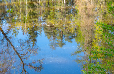 refelction in river water