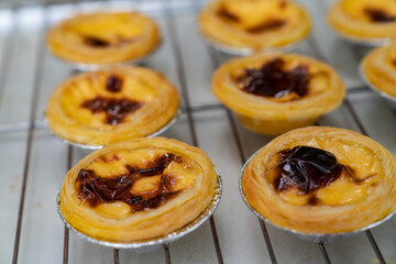 Group of Hongkong custard tart,egg tart