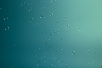 Bubbles floating in the air