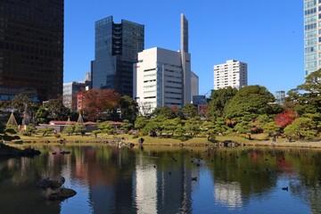 Fototapeta na wymiar Tokyo autumn skyline