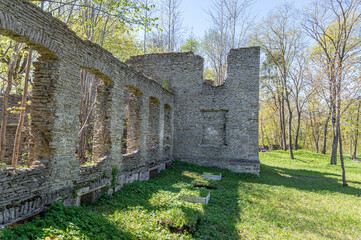 ruins of manor in estonia