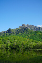 Obraz premium 新緑の鏡池