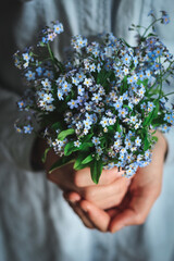 Young woman's hands holding a bouquet of forget-me-nots. Close up shot blurred in the edges