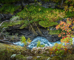 Naklejka na ściany i meble Blue river in norwegian wooldands.