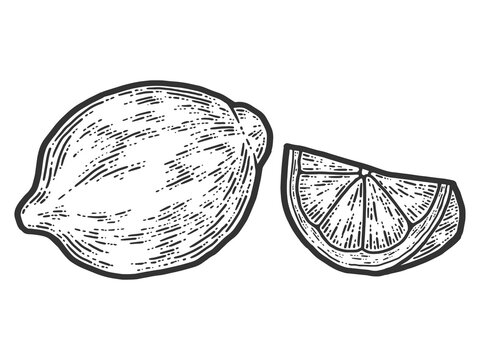 Set of whole lemon and slice. Sketch scratch board imitation. Black and white.