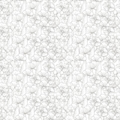 Graphics outline summer, spring flowers seamless pattern. Isolated on white background